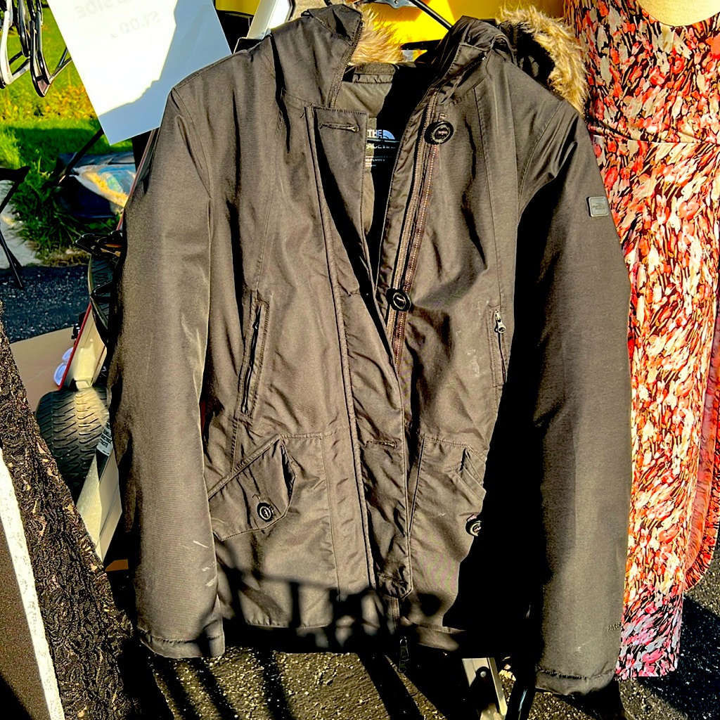 North Face Winter Puffy Coat